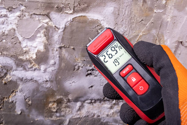 Best Mold Testing  in Oakley, KS