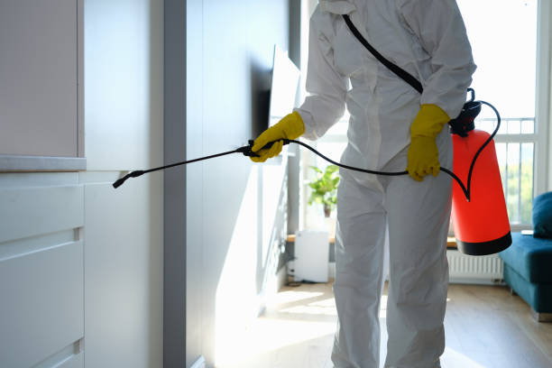 Best Same-Day Mold Removal  in Oakley, KS