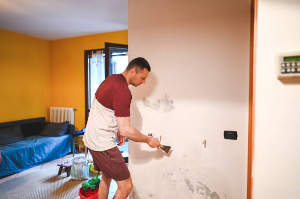 Best Residential Mold Removal  in Oakley, KS