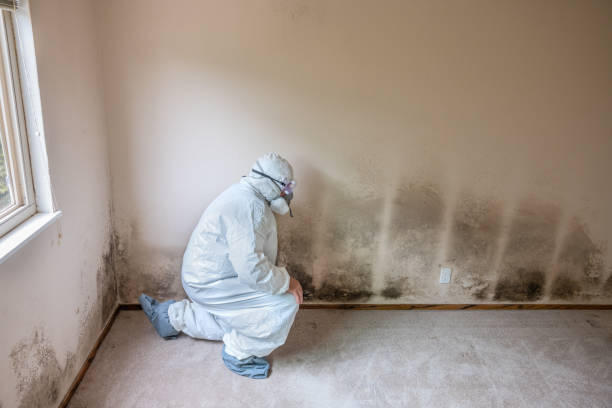 Best Home Mold Removal  in Oakley, KS