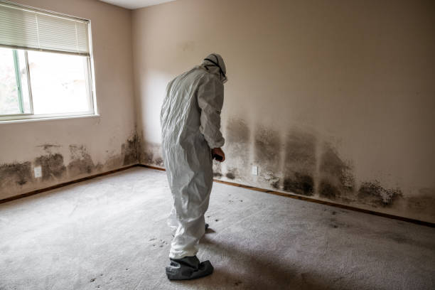 Best Professional Mold Removal  in Oakley, KS